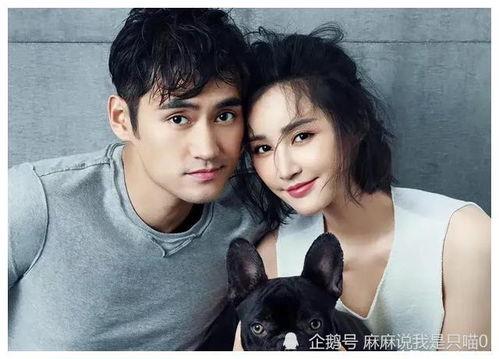 娱乐圈吃瓜小达人是谁