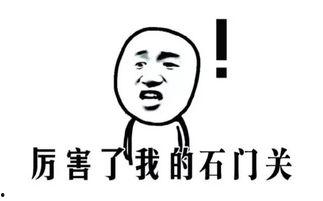 娱乐吃瓜酱敷衍,敷衍吃瓜,揭秘幕后真相